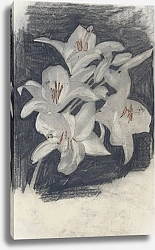 Постер Кашет Карел Адольф Лион Witte lelies