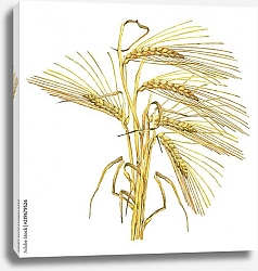 Постер Букет из сушеной пшеницы