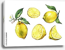 Постер Набор с целыми и резаными свежий лимонами 