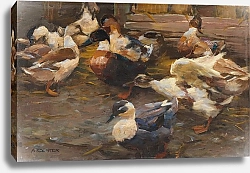 Постер Кестер Александр Утки перед стойлом