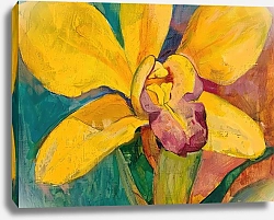 Постер Orchid dreams in vivid hues