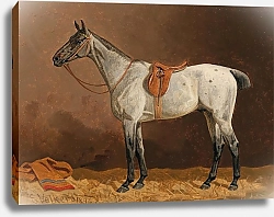 Постер Волкерс Эмиль Белая лошадь в конюшне