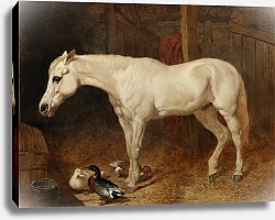 Постер Херринг Джон Серая лошадь в конюшне