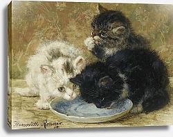 Постер Роннер-Нип Генриетта Three kittens