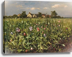 Постер Клевер Юлий Цветущий мак