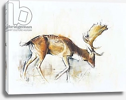 Постер Адлингтон Марк (совр) Pisanello Buck, 2006