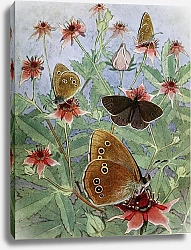 Постер Робер Поль-Андре Ле Тристан