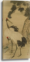 Постер Оке Маруяма Two Cranes and a Pine Tree