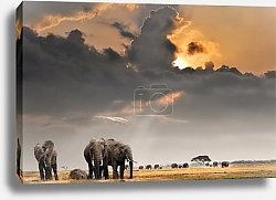 Постер Африканский закат со слонами