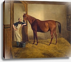 Постер Томсен Фриц Королева Сабы