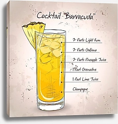 Постер Коктейль Барракуда