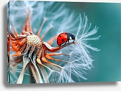 Постер Божья коровка на пушинке одуванчика