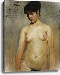 Постер Коринф Ловиз Nude Girl, 1886