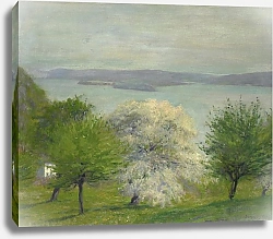 Постер Воннох Роберт Apple Bloom