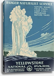 Постер Пауэлл Дон Честер Йеллоустонский национальный парк, служба рейнджеров-натуралистов