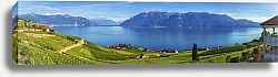 Постер Швейцария. Большая панорама виноградников региона Лаво