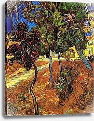 Постер Ван Гог Винсент (Vincent Van Gogh) Деревья в саду больницы Сен-Поля 2