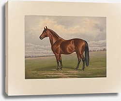 Постер Сталл Генри Гарольд