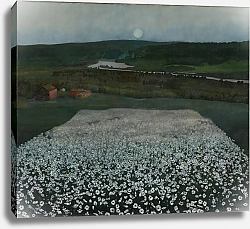 Постер Сольберг Гарольд Цветочный луг на Севере