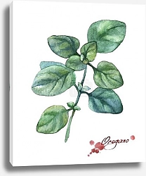 Постер Орегано