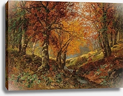 Постер Викас Карл A Forest Glade in Autumn