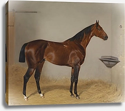 Постер Адам Эмиль Сен-Гальмье