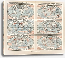 Постер Фридрих Эрнст Tierische Nahrungsmittel und Rohstoffe fur die Industrie