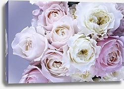 Постер Букет бело-розовых роз