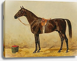 Постер Волкерс Эмиль Черный Конь В Конюшне II