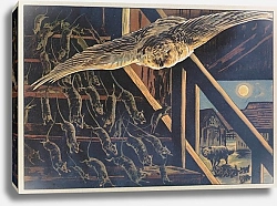 Постер Загорский Адам Józio Hałasik; bardzo dziwne bajeczki Pl.09