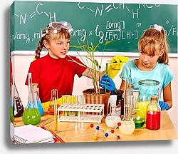 Постер Урок биологии в школе