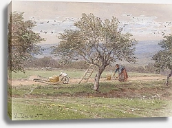 Постер Дарно Хьюго Zwetschkenernte in Pawlavitz