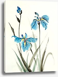 Постер bright flower of blue iris on a light background