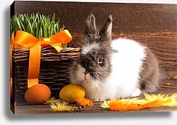 Постер Кролик и оранжевые яйца