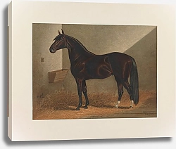 Постер Сталл Генри Посланник Дюрок