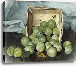 Постер Декер Джозеф Green Plums