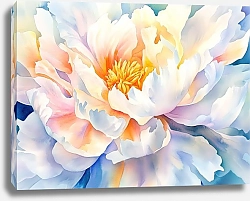 Постер White peony shimmers in the rays of sunlight