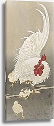 Постер Косон Охара Rooster and three chicks