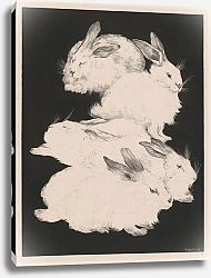 Постер Хойтема Тео Два ангорских кролика