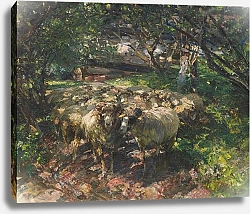 Постер Зюгеь Генрих Schafherde im Obstgarten