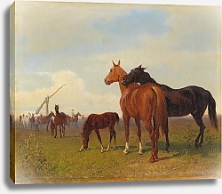 Постер Волкерс Эмиль Лошади в пустыне