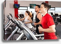 Постер Велотренажеры