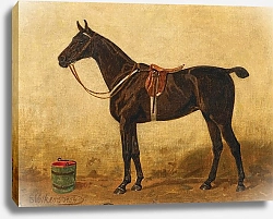 Постер Волкерс Эмиль Гнедая лошадь в конюшне