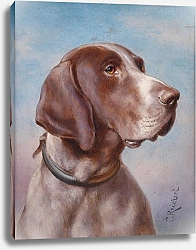 Постер Райхерт Карл Портрет собаки