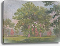 Постер Чельдер Децидер Landscape with Trees