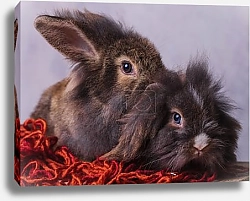 Постер Кролики в красных нитках