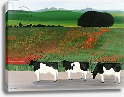 Постер Рове Мэгги (совр) Cows and Poppies