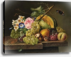 Постер Петтер Франс Still Life with Grapes, Pumpkin, Pear, Walnuts, Rose, Daffodils, and Butterfly
