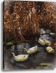 Постер Кестер Александр Восемь уток в осеннем тростнике