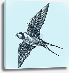 Постер Ласточка в полете